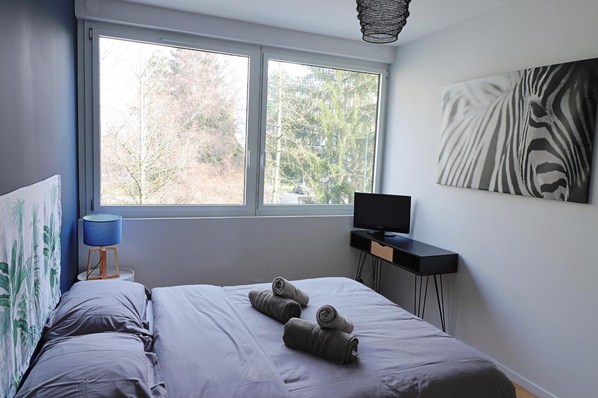 Coup De Coeur Appartement Lumineux, Calme Et Cosy 阿讷西 外观 照片